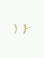 Load image into Gallery viewer, Gold Crawler Earrings
