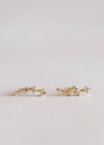 Load image into Gallery viewer, Gold Crawler Earrings
