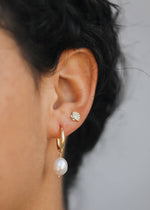 Load image into Gallery viewer, Seashell Gold Earrings
