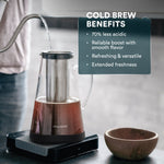 Load image into Gallery viewer, Cold Brew Maker | Glass with Stainless Steel Filter
