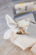 Load image into Gallery viewer, Welcome Baby - Gender Neutral Gift Basket

