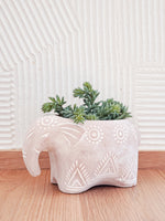 Load image into Gallery viewer, Terracotta Pot - Folk Elephant
