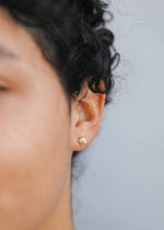 Load image into Gallery viewer, Seashell Gold Earrings
