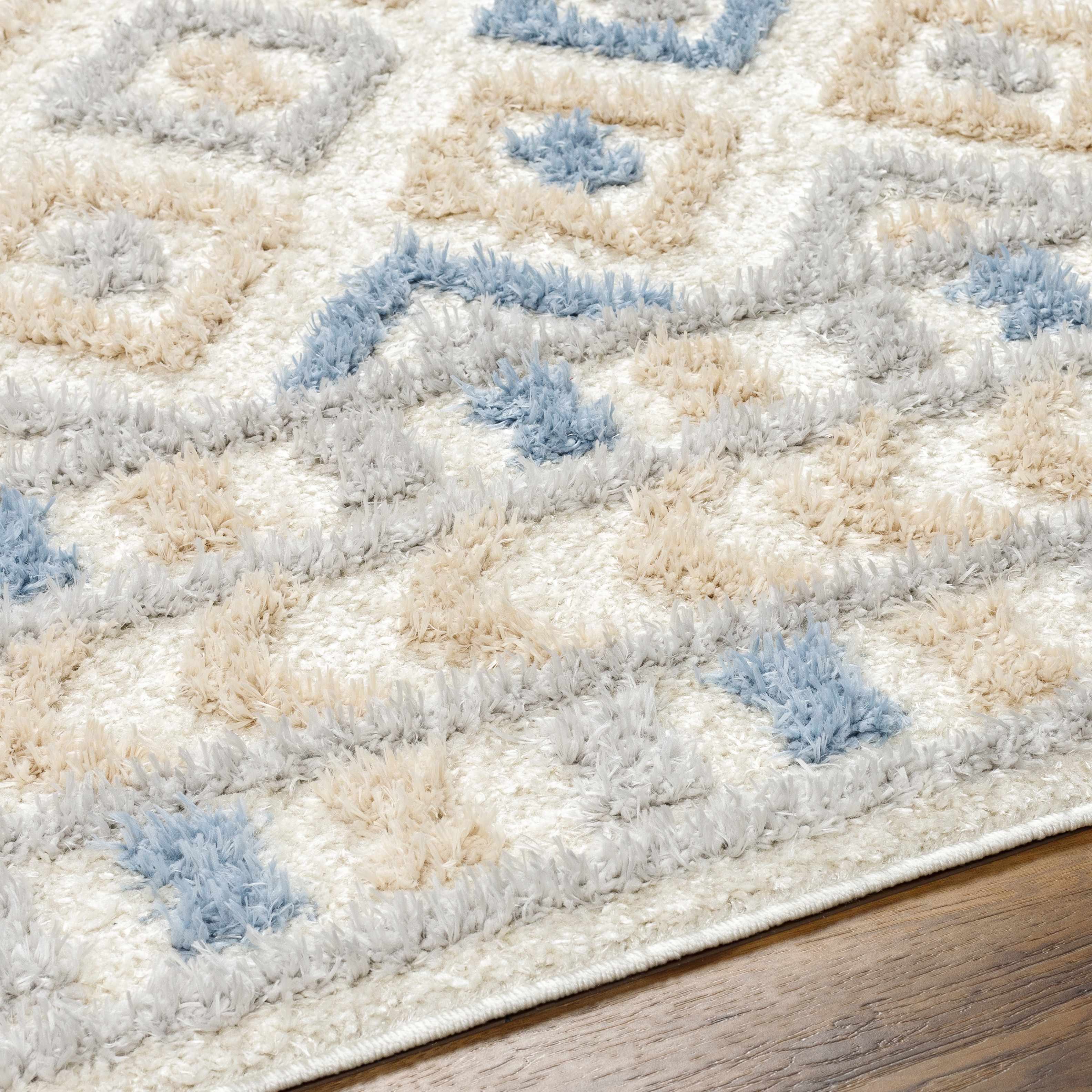 Eivin Pink & Blue Area Rug